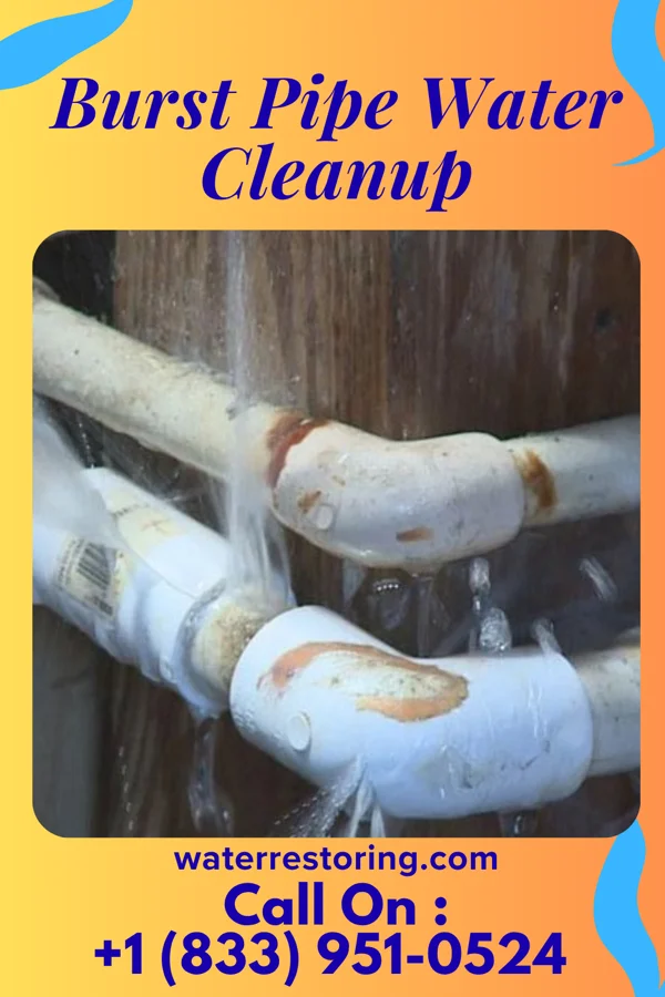 Burst Pipe Water Cleanup in Bear Lake, PA