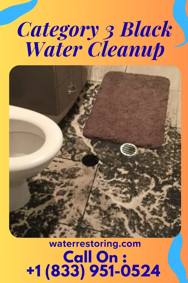Category 3 Black Water Cleanup in Bear Lake, PA