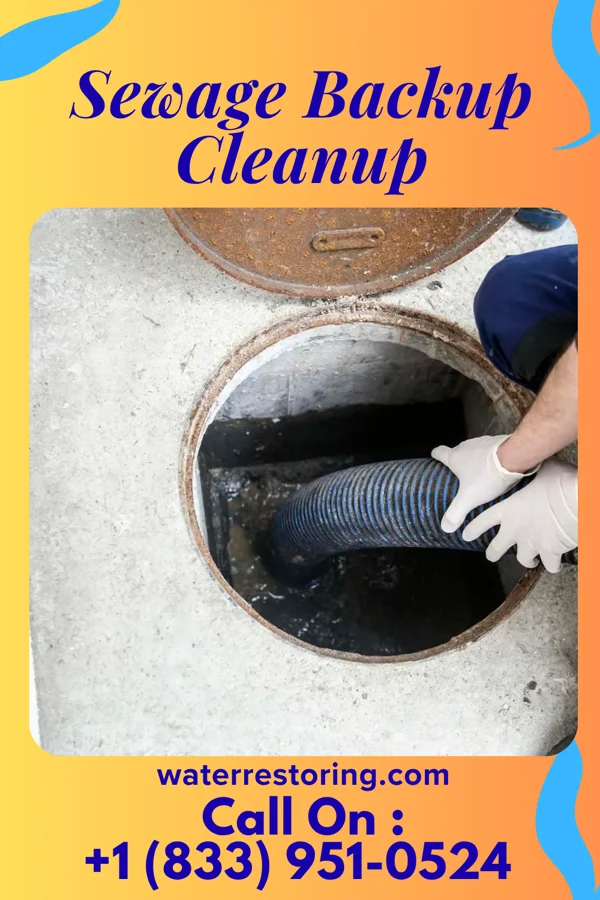 Sewage Backup Cleanup in Bear Lake, PA