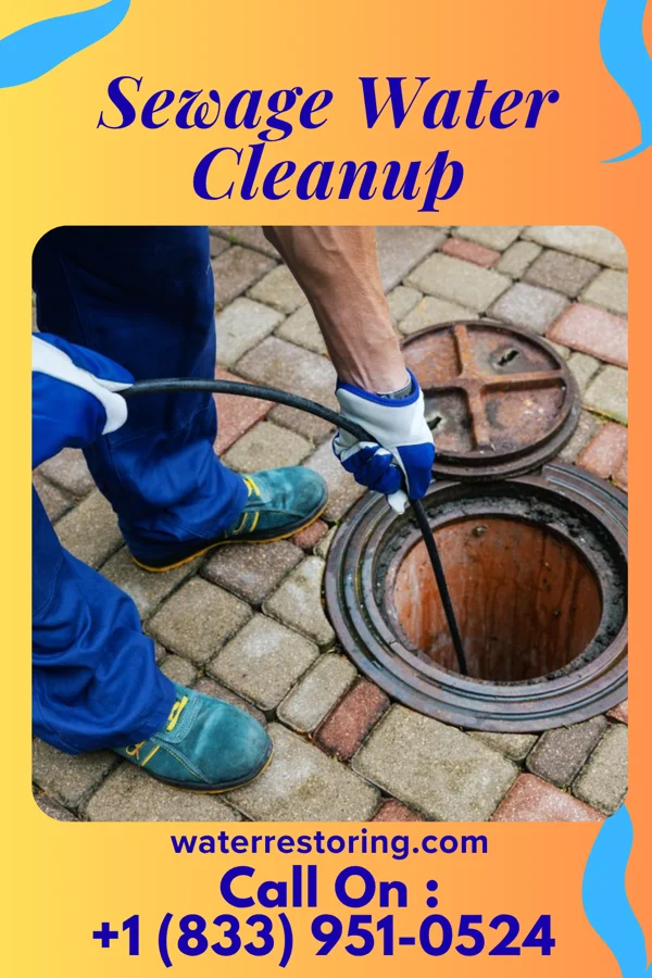 Sewage Water Cleanup in Bear Lake, PA
