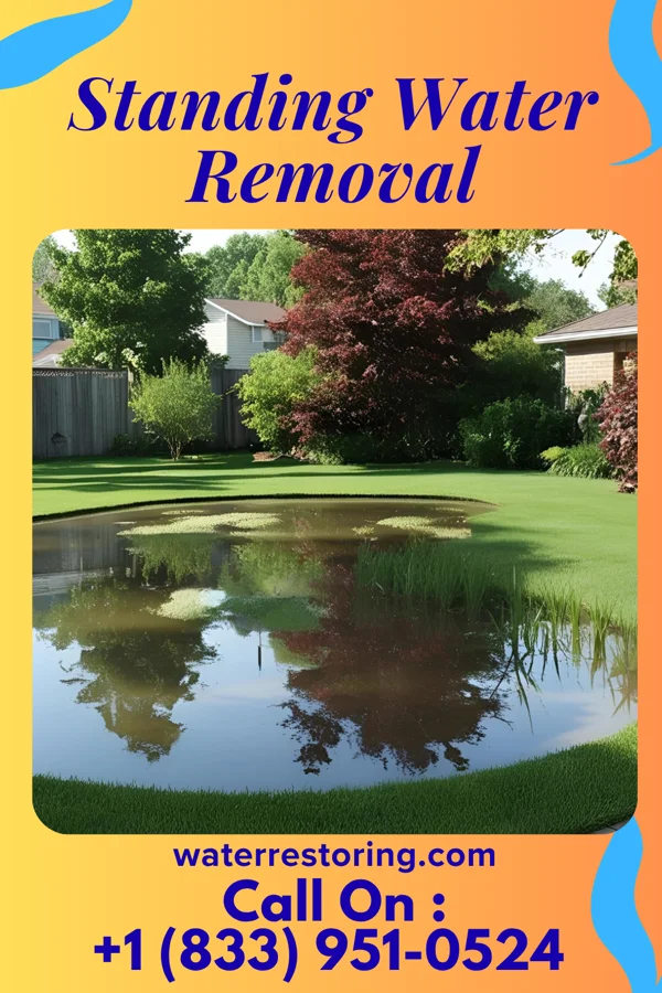 Standing Water Removal in Bear Lake, PA